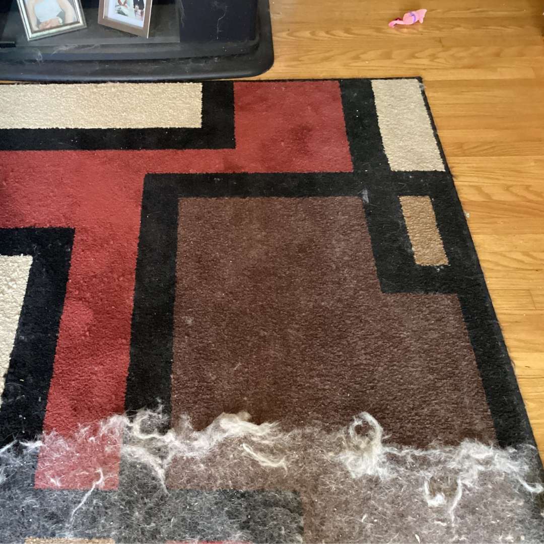 Upclean Removedor de pelos de mascota